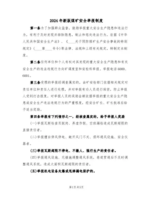 2024年新版煤矿安全举报制度（二篇）