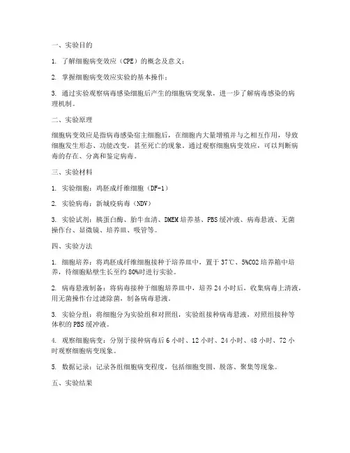 细胞病变效应实验报告