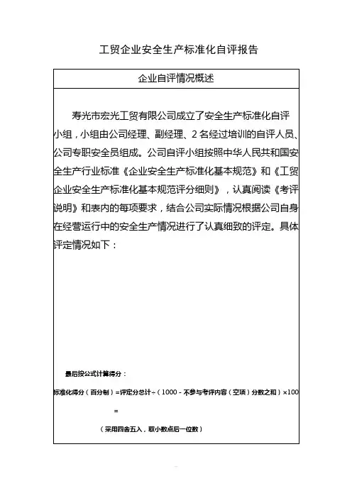 工贸行业企业安全生产标准化自评报告及自评分汇总表