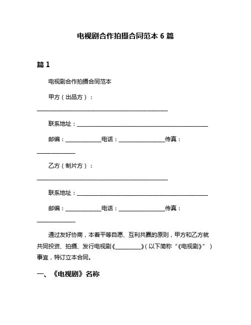 电视剧合作拍摄合同范本6篇