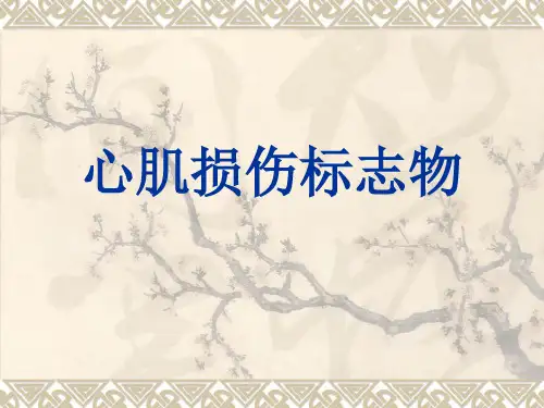 心肌损伤标志物PPT课件