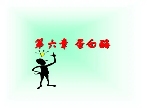 6.蛋白酶
