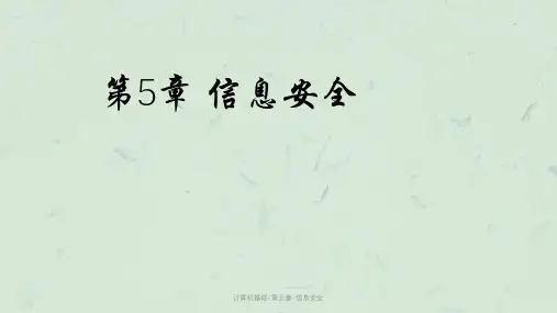 计算机基础-第五章-信息安全课件