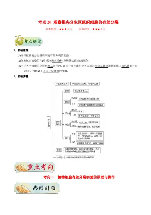 高中生物考点20 观察根尖分生区组织细胞的有丝分裂