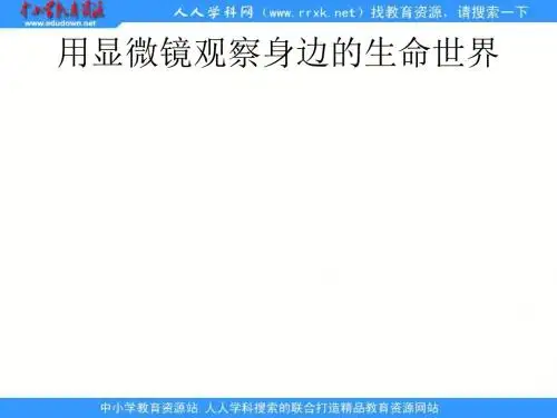 教科小学科学六下《1.5、用显微镜观察身边的生命世界(一)》PPT课件(1)