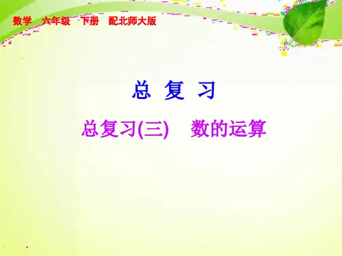 【精品】最新北师大版六年级数学下册总复习数的运算PPT教学课件(共9张PPT)