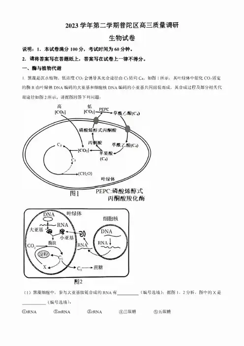 上海市普陀区2023届高三下学期二模试题 生物 含解析