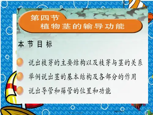 七年级生物上册《植物茎的输导功能》课件