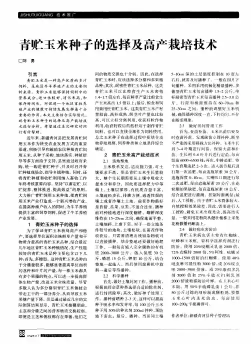 青贮玉米种子的选择及高产栽培技术