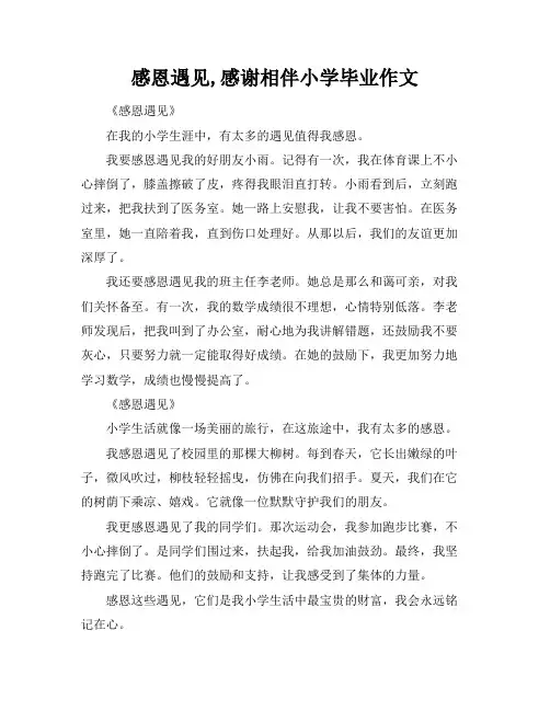 感恩遇见,感谢相伴小学毕业作文