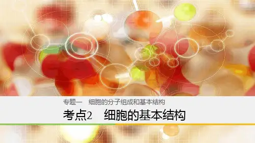 浙江选考高三生物二轮专题复习专题一细胞的分子组成和基本结构考点2细胞的基本结构名师课件新人教