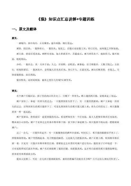 初中语文课内文言文知识点汇总与专项训练-《狼》