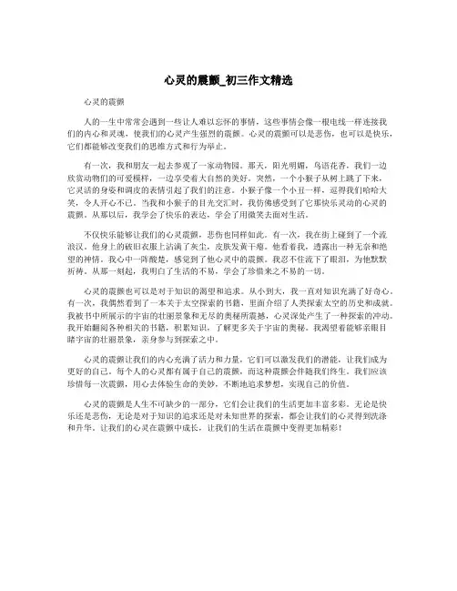 心灵的震颤_初三作文精选