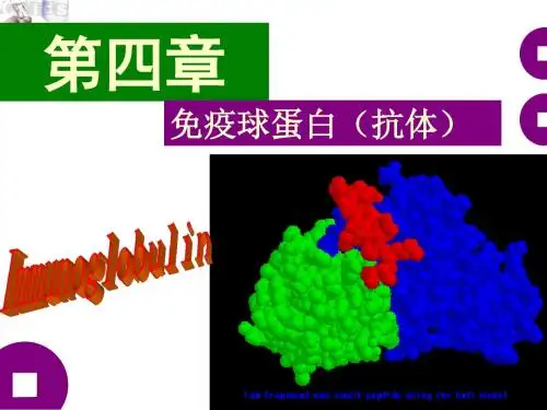 第04章免疫球蛋白