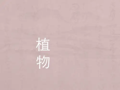 景观植物的空间营造和空间类型ppt课件