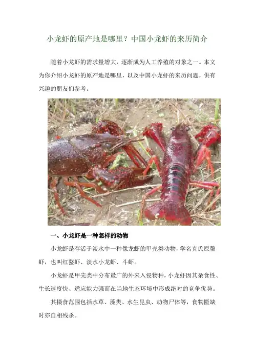 小龙虾的原产地是哪里？中国小龙虾的来历简介