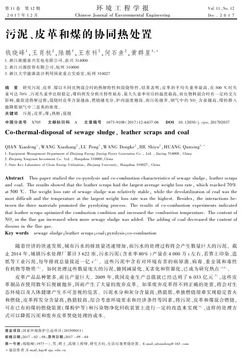 污泥、皮革和煤的协同热处置