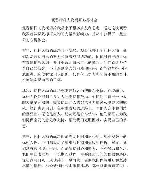 观看标杆人物视频心得体会