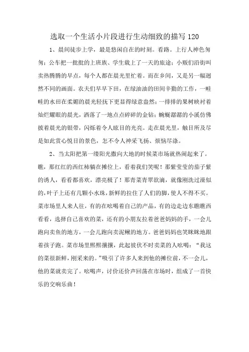 选取一个生活小片段进行生动细致的描写120