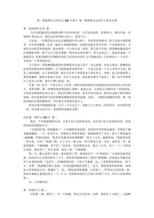 那一幕我难以忘怀作文800字初中 那一幕我难以忘怀作文优秀3篇