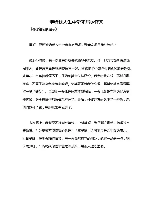 谁给我人生中带来启示作文