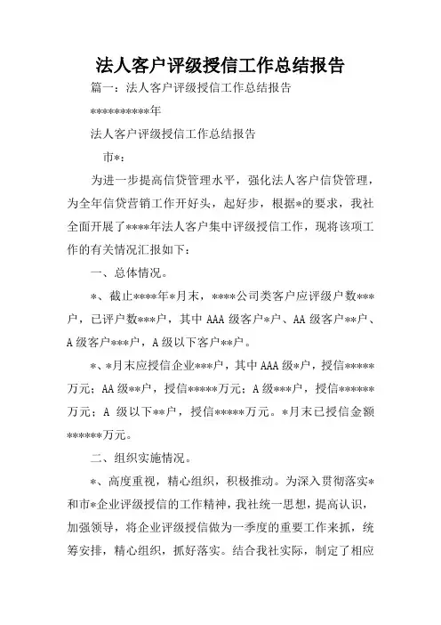 法人客户评级授信工作总结报告