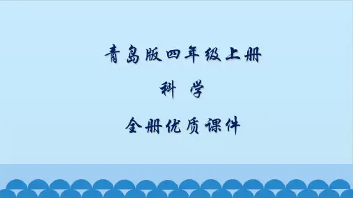 青岛版四年级上册科学全册课件