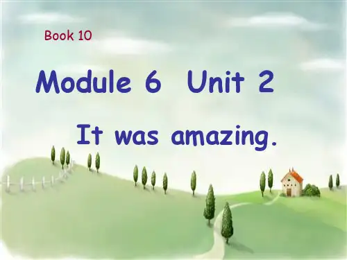 外研版小学英语五年级下册《Module6Unit 2 It was amazing.》课件