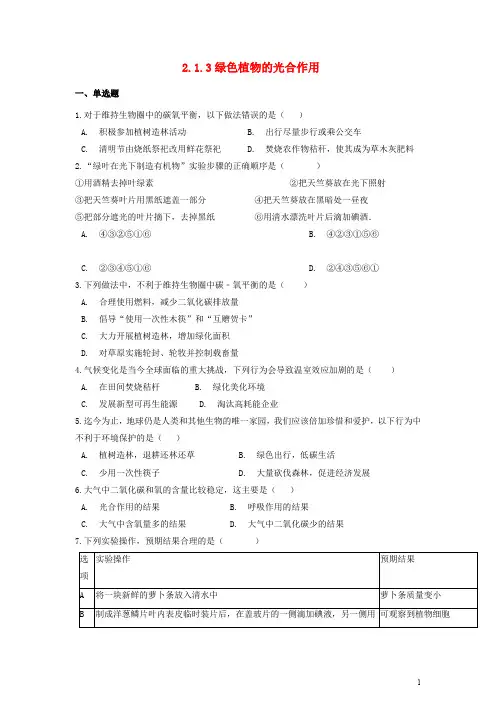 七年级生物  绿色植物的光合作用 同步测试(含解析)济南版