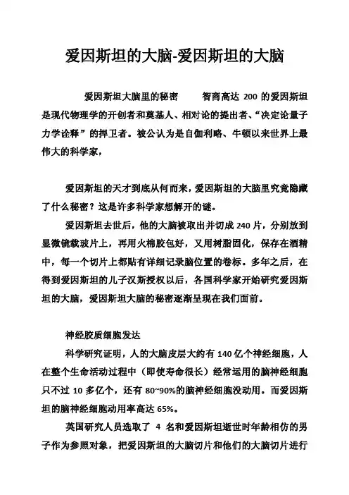 爱因斯坦的大脑-爱因斯坦的大脑