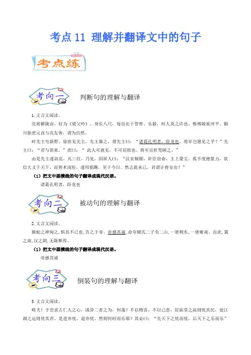 考点11 理解并翻译文中的句子(考点专练)-中考语文考点微专题
