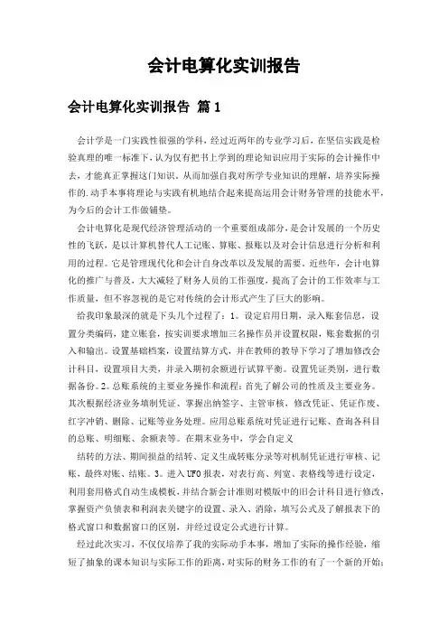 会计电算化实训报告