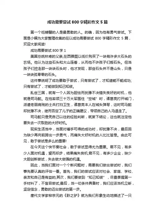 成功需要尝试800字精彩作文5篇