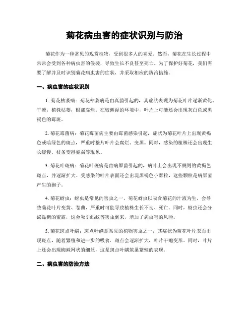 菊花病虫害的症状识别与防治