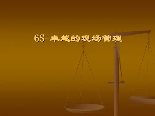 6S培训讲义(PPT74页)