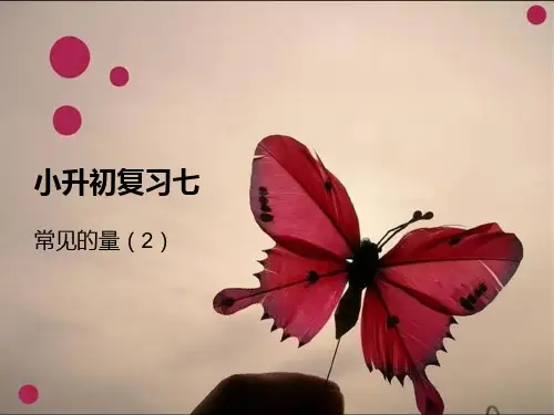 小升初复习七(常见的量)