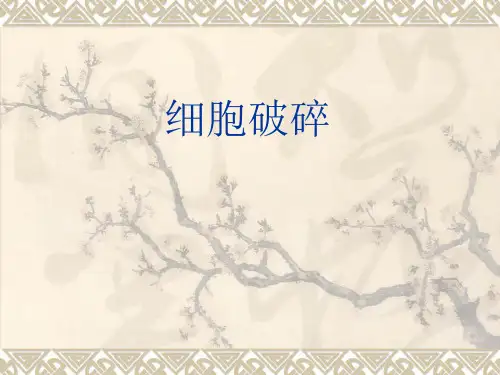 细胞破碎PPT课件