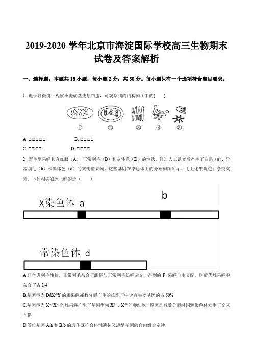2019-2020学年北京市海淀国际学校高三生物期末试卷及答案解析