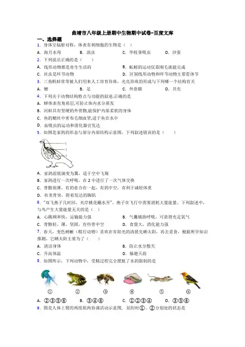 曲靖市八年级上册期中生物期中试卷-百度文库