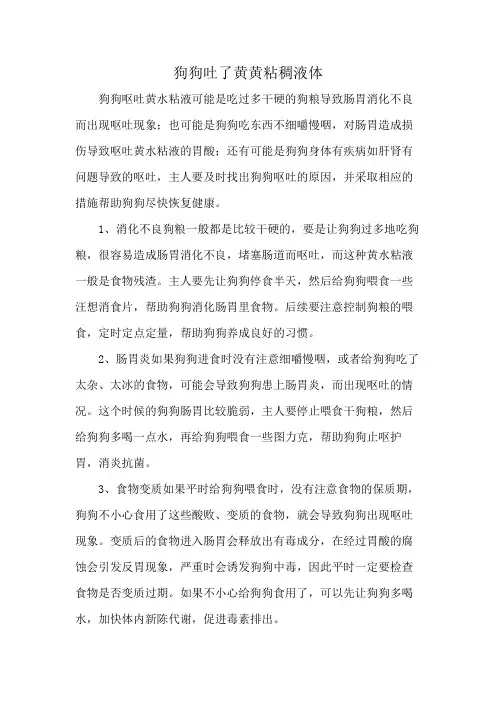 狗狗吐了黄黄粘稠液体