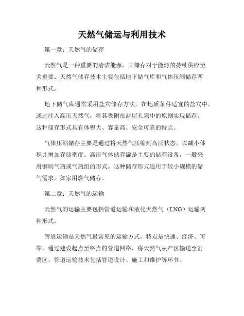 天然气储运与利用技术