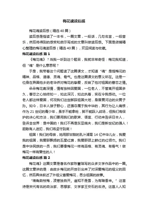 梅花魂读后感