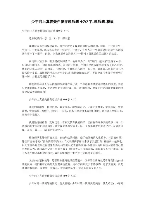 少年向上真善美伴我行读后感400字_读后感_模板
