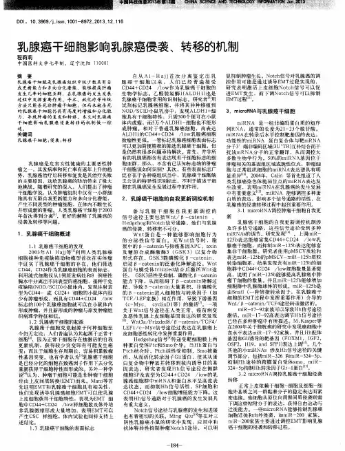 乳腺癌干细胞影响乳腺癌侵袭、转移的机制