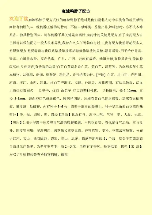 麻辣鸭脖子配方