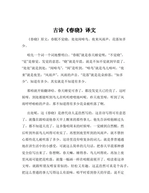 古诗《春晓》译文