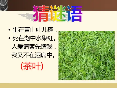 四年级下册语文课件-作文指导：2-沏茶 部编版(共18张PPT)