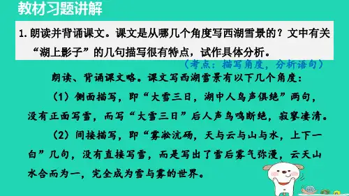 2024九年级语文上册第三单元13湖心亭看雪教材习题课件新人教版