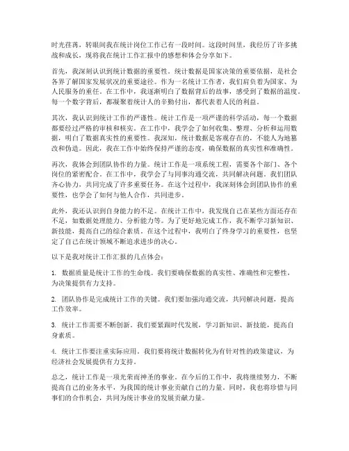统计工作汇报感想体会