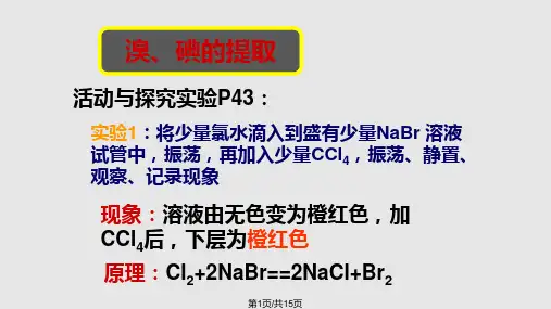 高一化学溴 碘提取PPT课件